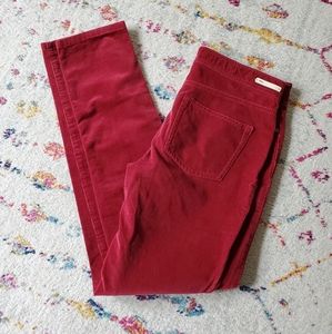Pilcro stretch corduroy pants